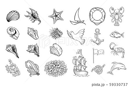 Marine themed hand drawn illustrations set 59330737