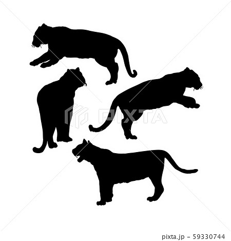 Wild Tiger Silhouettes Isolated Vector Set. Safari Animals Clipart 59330744