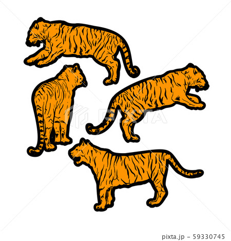 Tigers wild cat vector set. Orange Safari Tiger Animals Icons 59330745