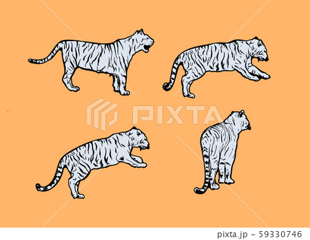 Tigers wild cat vector set. Light Blue Safari Tiger Animals Icons 59330746