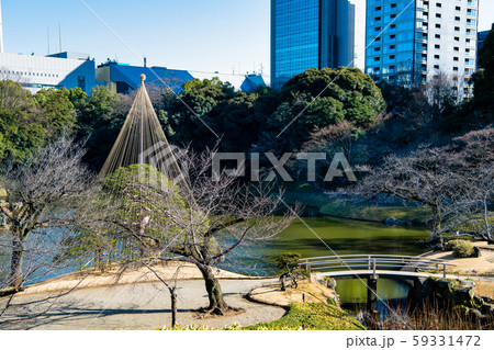 東京 冬の小石川後楽園 小盧山から見る雪吊の一つ松と大泉水 東京 冬の小石川後楽園 小盧山から見る雪吊の一つ松と大泉水 59331472