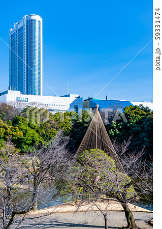 東京 冬の小石川後楽園 小盧山から見る雪吊の一つ松と高層ビル 東京 冬の小石川後楽園 小盧山から見る雪吊の一つ松と高層ビル 59331474