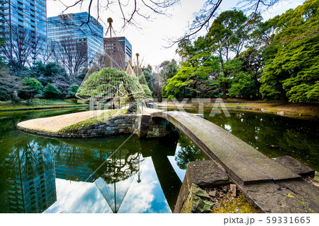 東京 冬の小石川後楽園 内庭 東京 冬の小石川後楽園 内庭 59331665