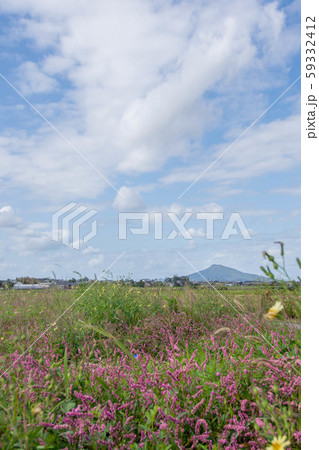 あぜ道の風景 59332412