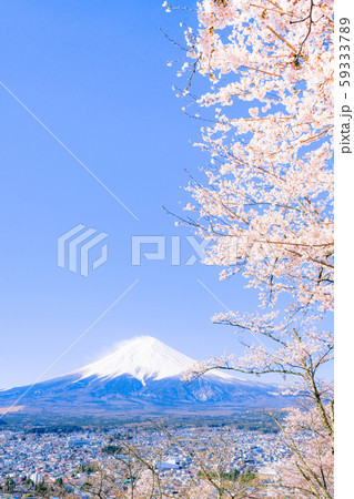 桜と富士山 桜と富士山 59333789