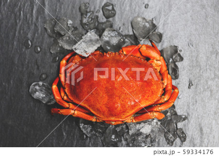 crabs on ice with dark background - Close up of 59334176