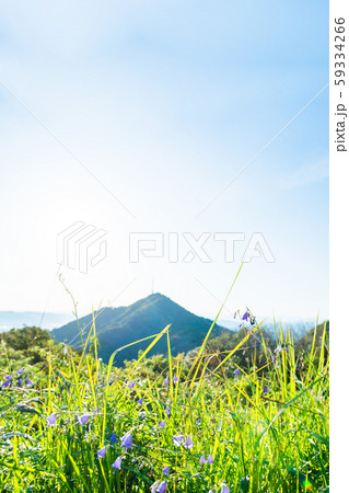 鷲尾山頂 鷲尾山頂 59334266