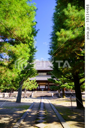 京都・萬福寺・大雄宝殿と松の木２ 59334468