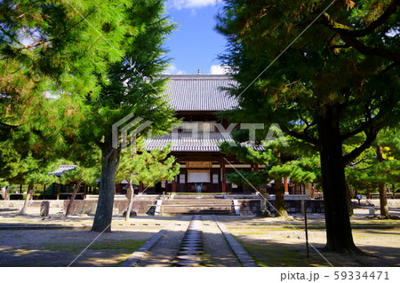 京都・萬福寺・大雄宝殿と松の木3 京都・萬福寺・大雄宝殿と松の木3 59334471