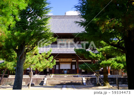 京都・萬福寺・大雄宝殿と松の木4 京都・萬福寺・大雄宝殿と松の木4 59334473