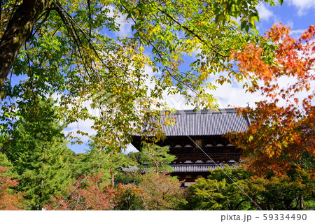 京都・秋の萬福寺・三門４ 59334490