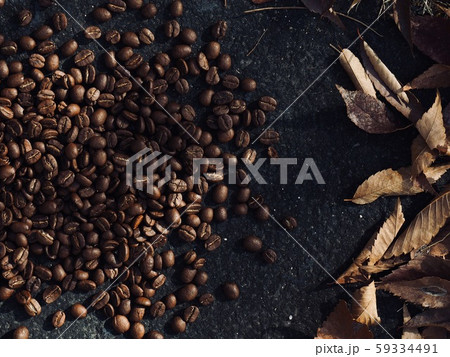 落葉 韓国 アジア 59334491