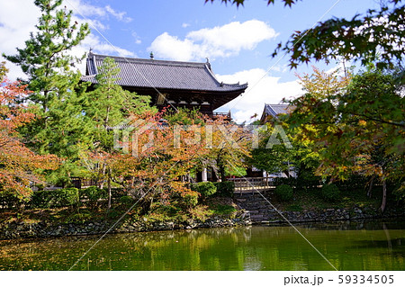 京都・秋の萬福寺・三門１３ 59334505
