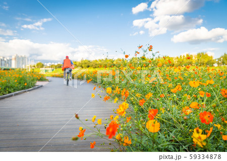 森 木 旅行 59334878