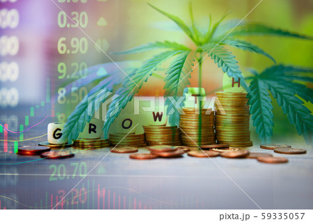 Cannabis Business marijuana leaves and stack of 59335057