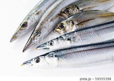 青魚 秋刀魚 カマス アジ 青魚 秋刀魚 カマス アジ 59335398