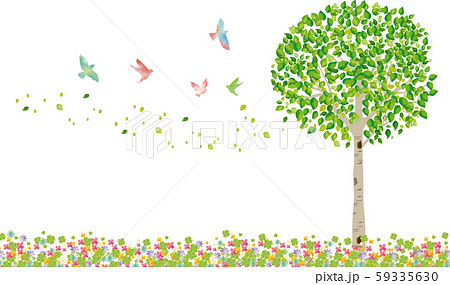 木：木 枝 自然 緑 葉 新緑 新芽 初夏 夏 春 エコ グリーンのイラスト