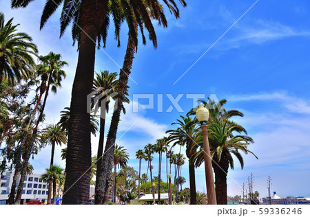 アメリカカリフォルニア州サンタモニカ風景 アメリカカリフォルニア州サンタモニカ風景 59336246