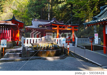 神奈川県/ 箱根神社(九頭龍神社) 神奈川県/ 箱根神社(九頭龍神社) 59336426