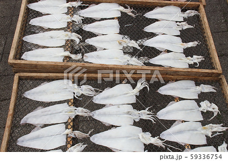 イカ(干物) イカ(干物) 59336754