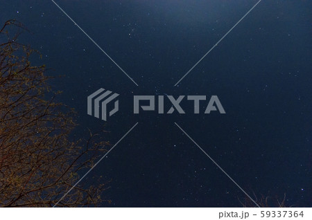 夜空に瞬く星 59337364
