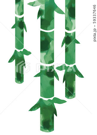 竹　水彩 59337646