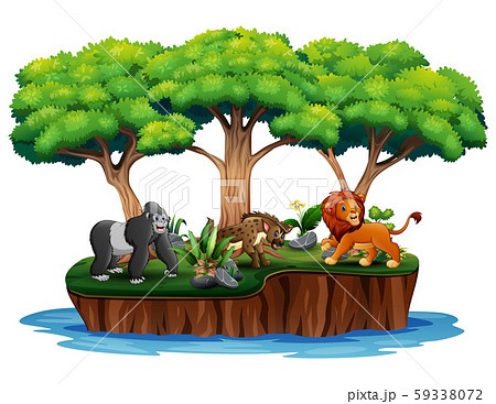 Cartoon nature island with wild animals 59338072