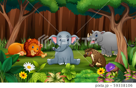 Wild animlas playing in the park 59338106