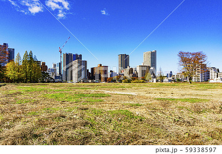 都市の空き地(仙台市) 都市の空き地(仙台市) 59338597