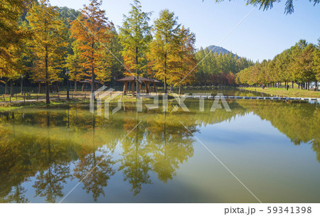 湖 ガーデン 庭園 59341398