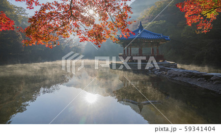 秋 晩秋 湖 59341404