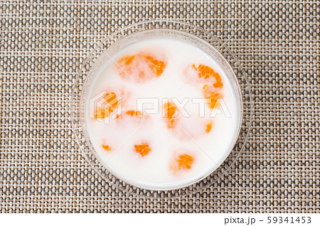 牛乳かん ミルク寒天 牛乳かん ミルク寒天 59341453