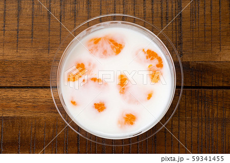 牛乳かん　ミルク寒天 59341455