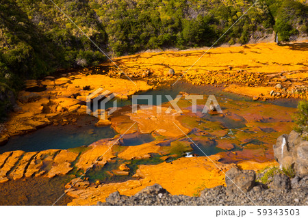 Salto del Agrio and Agrio river Salto del Agrio and Agrio river 59343503