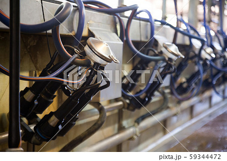 Mechanized milking equipment Mechanized milking equipment 59344472