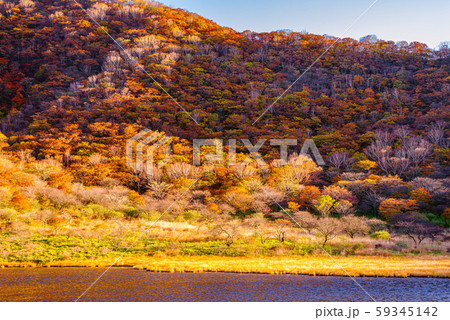 秋の覚満淵【群馬県赤城山】 59345142
