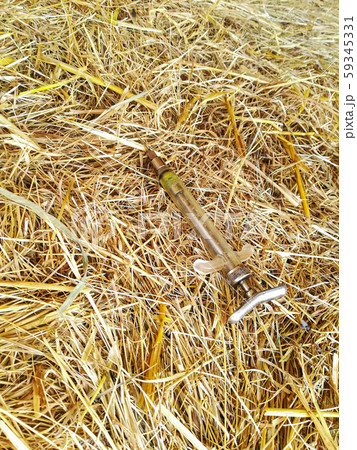 injection needle on hay bale 59345331
