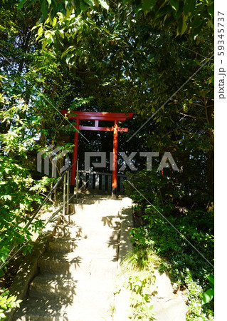 上ヶ原八幡神社 59345737