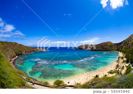 ハワイ オアフ島のハナウマ湾 全景 ハワイ オアフ島のハナウマ湾 全景 59345940