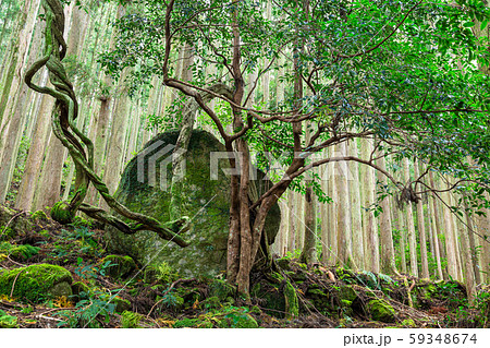 熊野古道　大雲取越　楠の久保旅籠跡 59348674