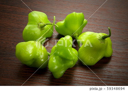 ハンガリー鈴ピーマン ハンガリー鈴ピーマン 59348694