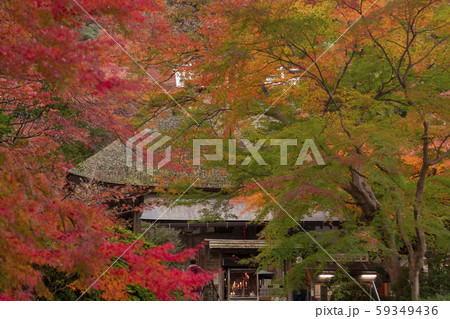 大興善寺紅葉 大興善寺紅葉 59349436
