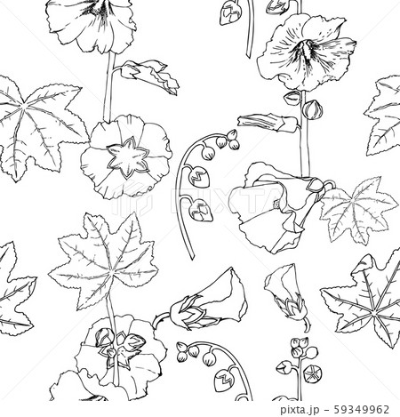 Malva seamless pattern Summer Flowers Sketches. Hand Drawn Digital Illustration 59349962