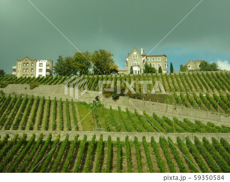 ドイツ　列車から見た果樹園 59350584