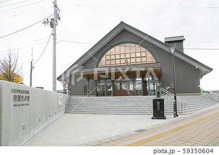 秋田犬の里 秋田犬 秋田犬の里 秋田犬 59350604