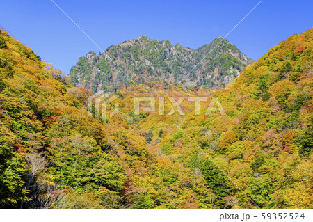 紅葉の鶏冠山 59352524