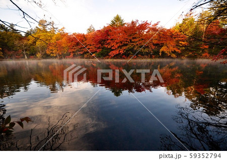 雲場池の紅葉 雲場池の紅葉 59352794