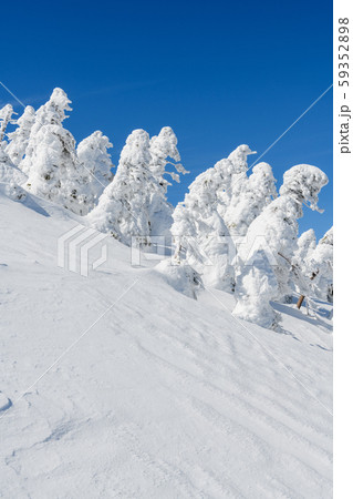西大巓の樹氷 西大巓の樹氷 59352898