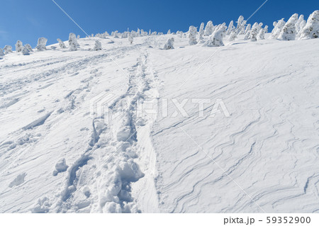 西大巓の樹氷 西大巓の樹氷 59352900