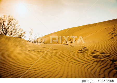 Desert Background Landscape 59353466